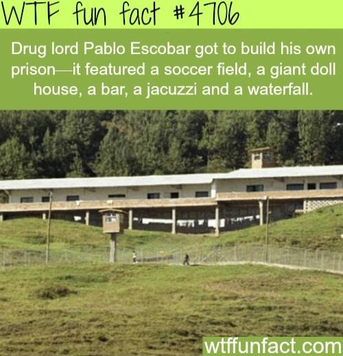 WTF fun foct 4106 Drug lord Pablo Escobar got to build his own prisonit featured a soccer field a giant doll house a bar a jacuzzi and a waterfall b e e 1 g wiffunfactcom