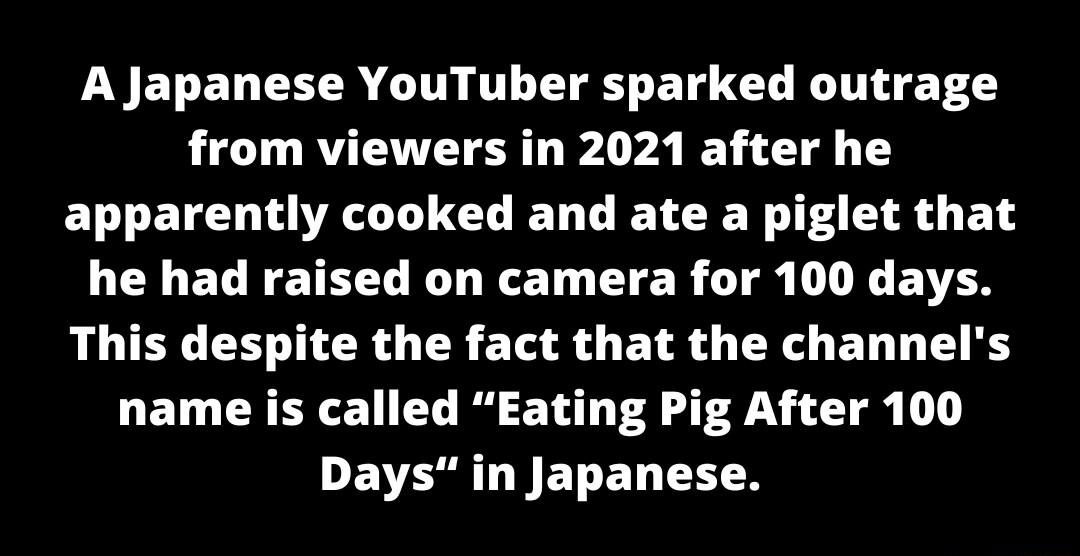LY ET ELCEER T T ETE BT ICL T from viewers in 2021 after he apparently cooked and ate a piglet that LELELREIEL RO N ET CTER L OR LN BN This despite the fact that the channels name is called Eating Pig After 100 DEVERUET EL TN