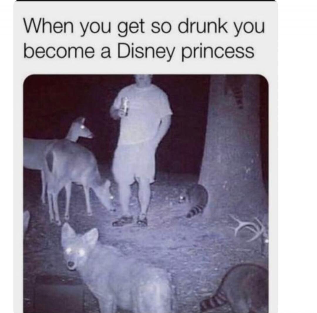 When you get so drunk you become a Disney princess