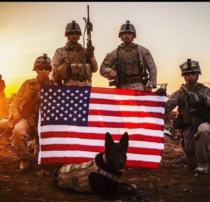 A group of soldiers holding an American flag with a black military dog in front.