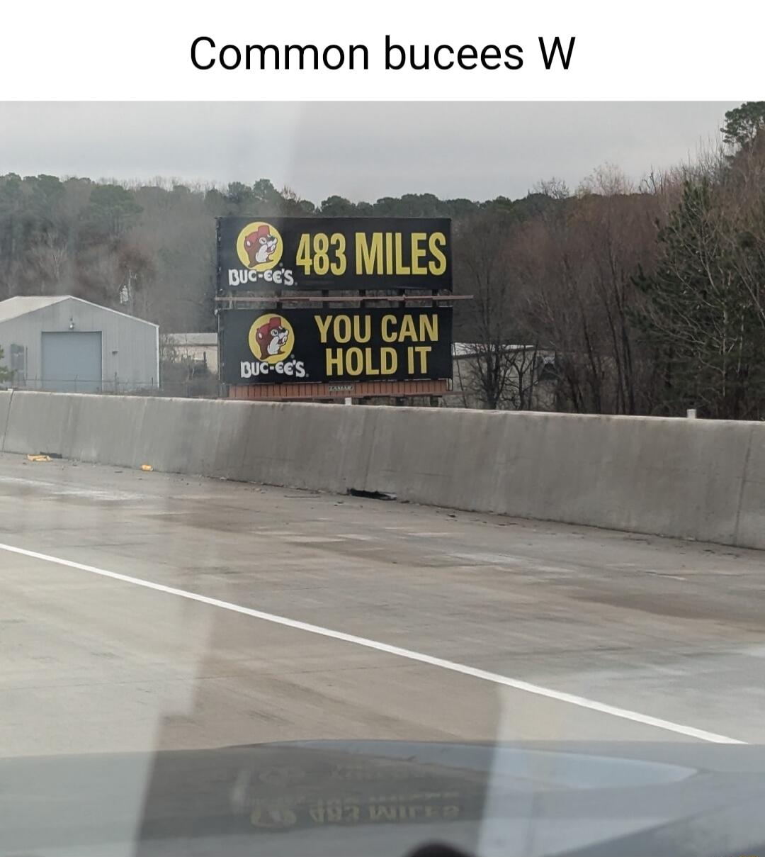 Common bucees W D 13 MILES p YOUCAN O 00