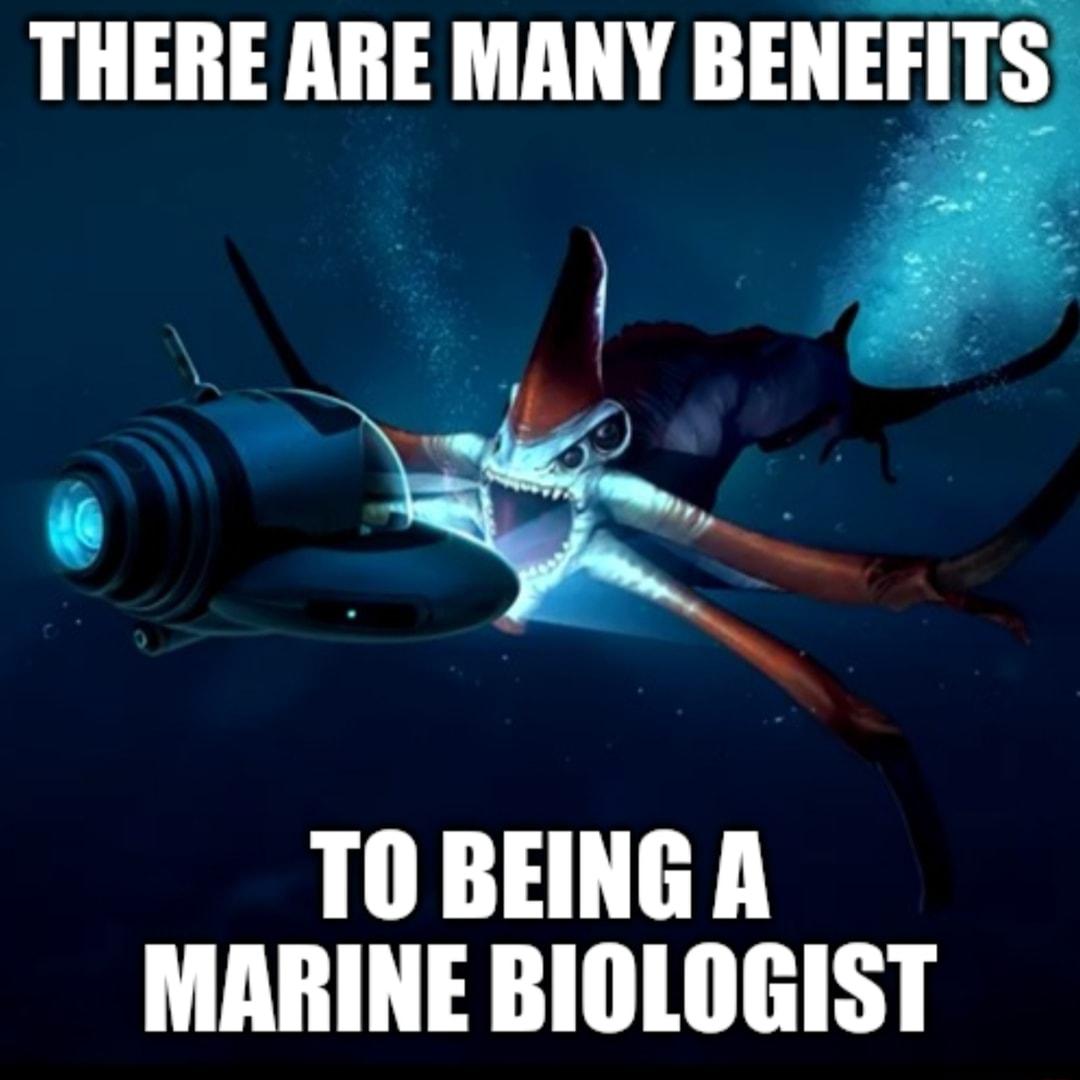 THERE ARE MANY BENEITS TOBEINGA MARINE BIOLOGIST