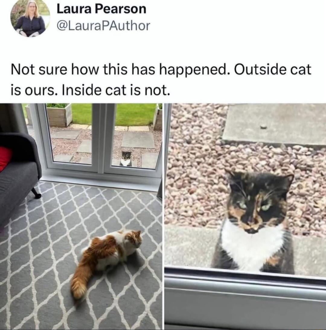 LauraPearson LauraPAuthor Not sure how this has happened Outside cat is ours Inside cat is not