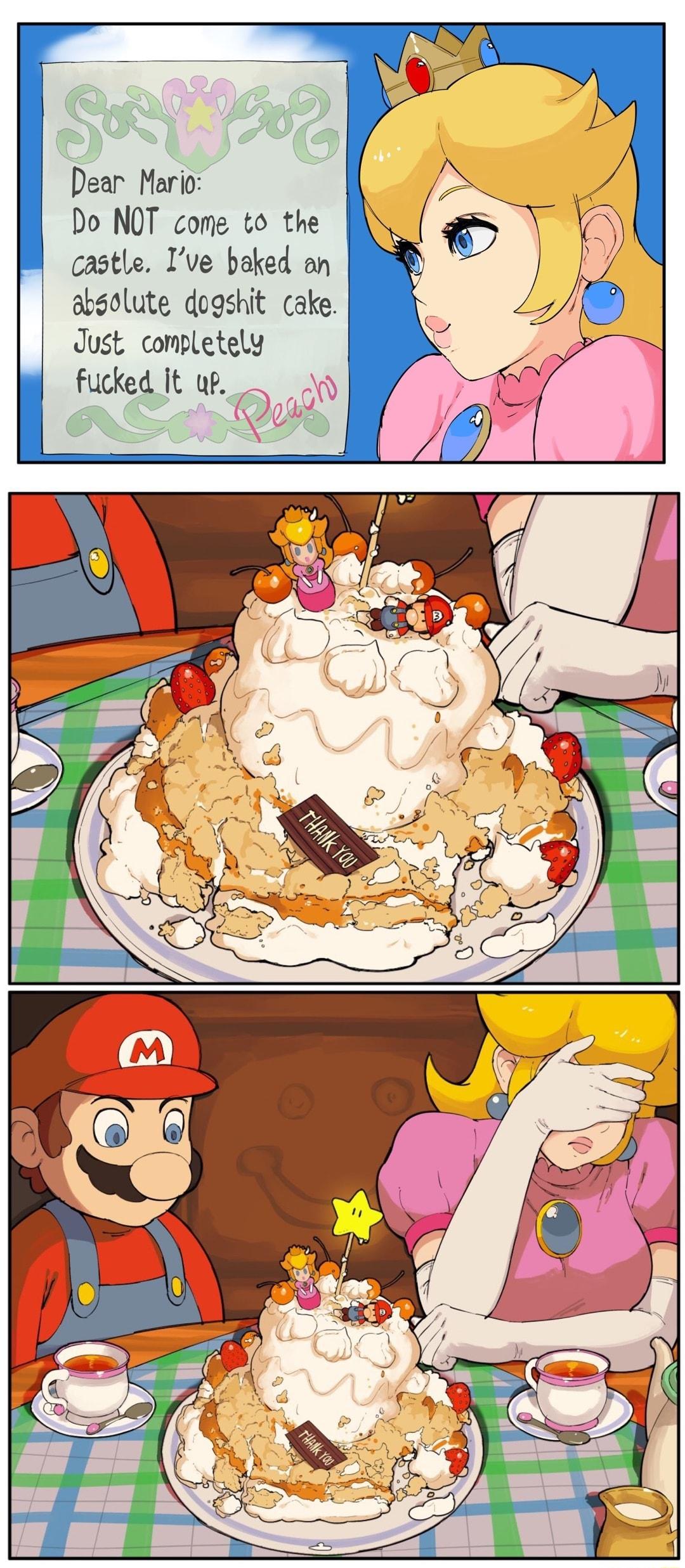 Dear Mario Do NOT come to the castle Ive baked an abgolute dogshit cake Just completely fucked It wp