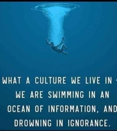 WHAT A CULTURE WE LIVE IN WE ARE SWIMMING IN AN OCEAN OF INFORMATION AND DROWNING IN IGNORANCE