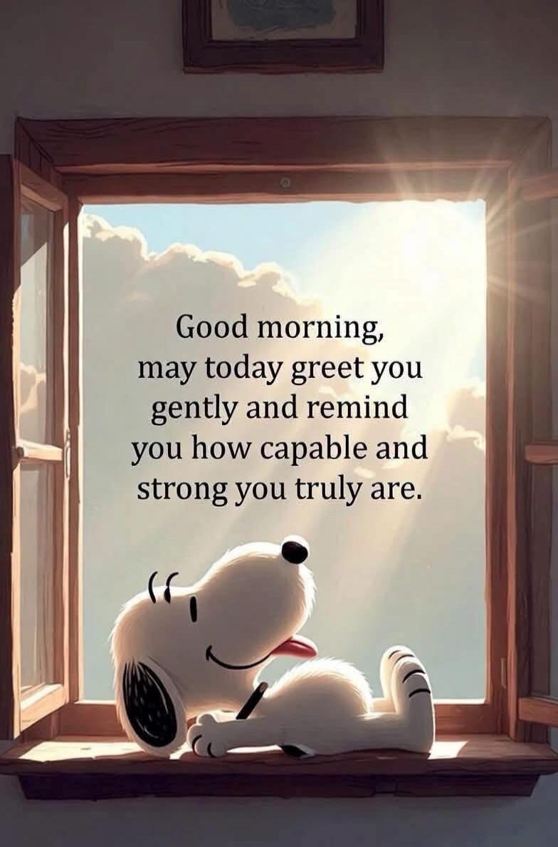 Good morning, may today greet you gently and remind you how capable and strong you truly are.