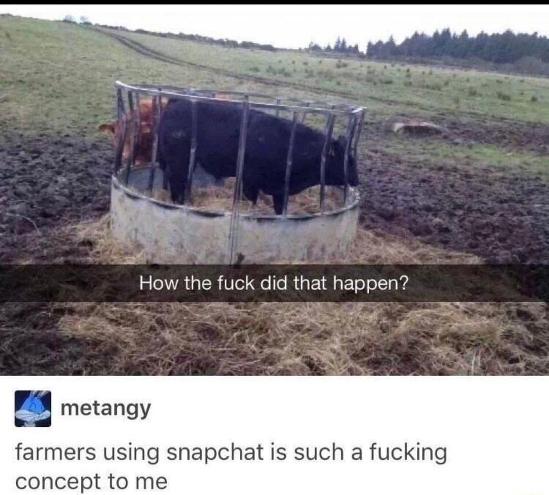 metangy farmers using snapchat is such a fucking concept to me