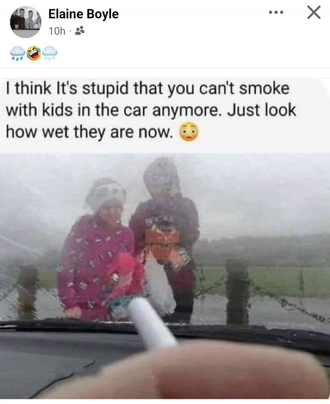 I think It's stupid that you can't smoke with kids in the car anymore. Just look how wet they are now.