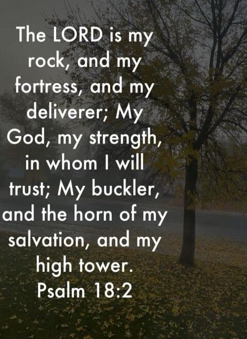 The LORD is my rock, and my fortress, and my deliverer; My God, my strength, in whom I will trust; My buckler, and the horn of my salvation, and my high tower.
Psalm 18:2