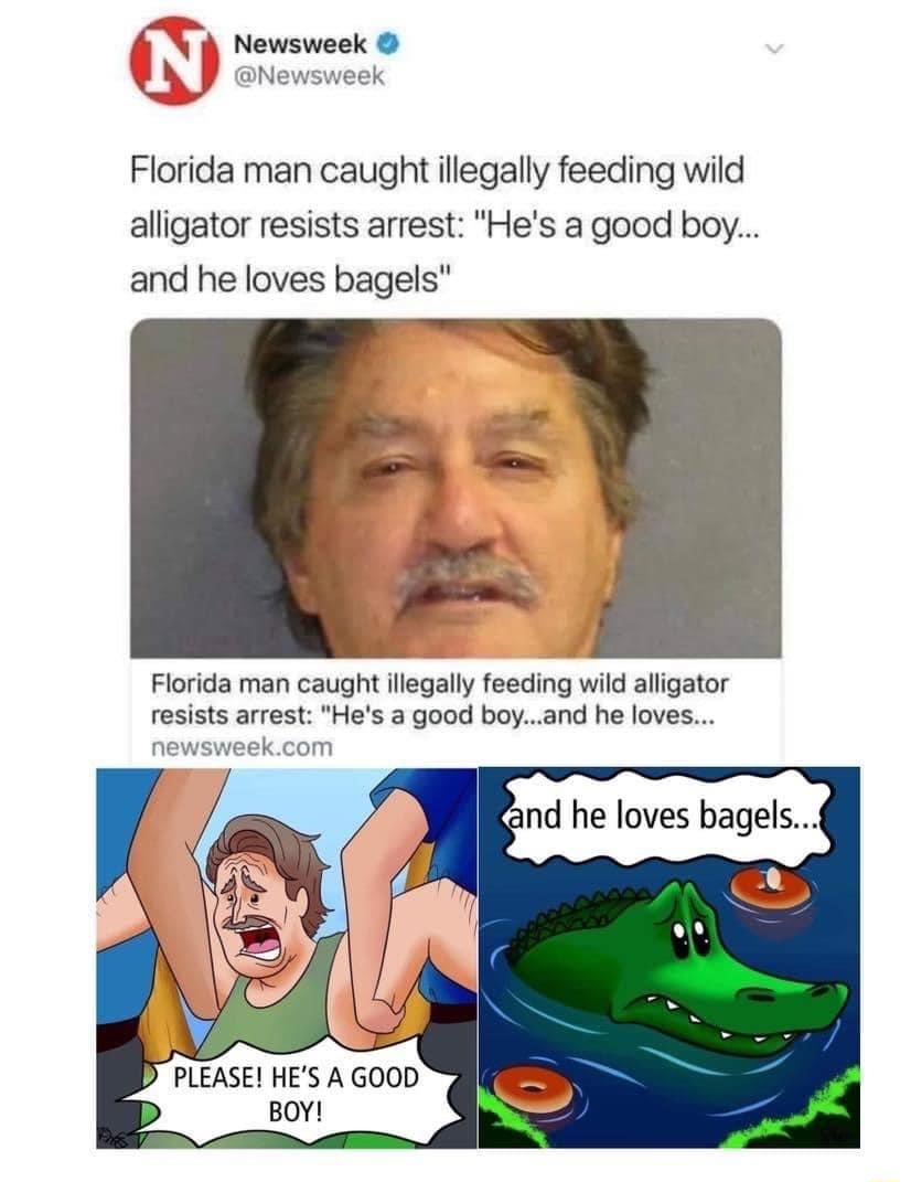 Newsweek Florida man caught illegally feeding wild alligator resists arrest Hes a good boy and he loves bagels Florida man caught llegally feeding wild alligator resists arrest Hes a good boyand he loves ek P PLEASE HES A GOOD BOY