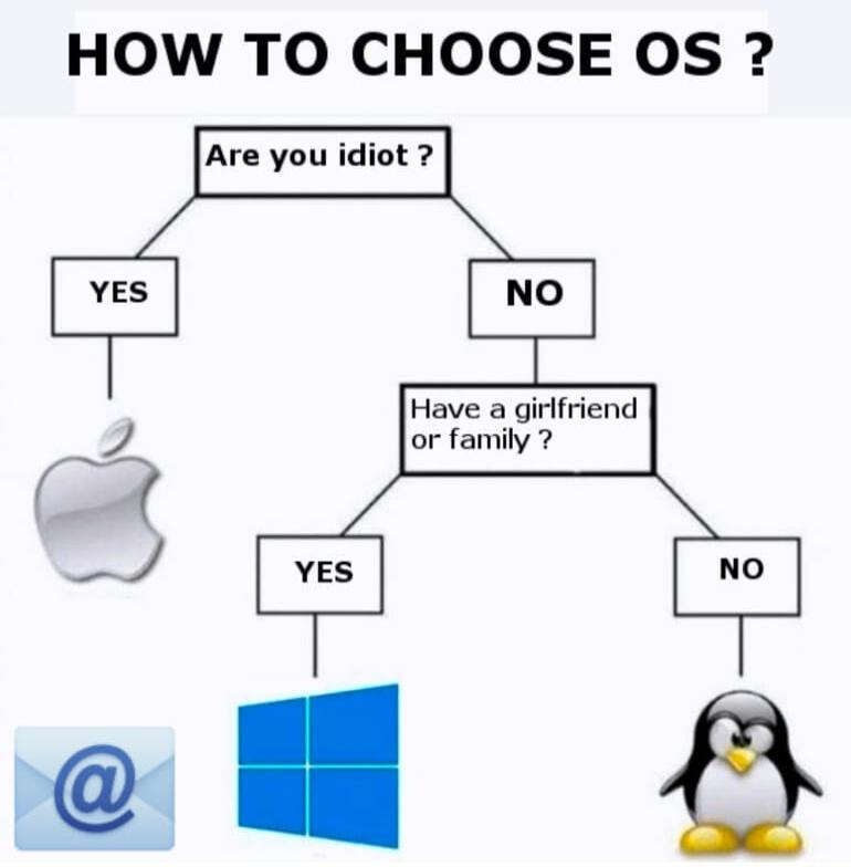 HOW TO CHOOSE OS NO Have a girlfriend or family YES NO