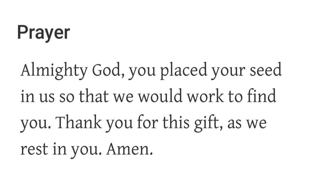 Prayer Almighty God, you placed your seed in us so that we would work to find you. Thank you for this gift, as we rest in you. Amen.