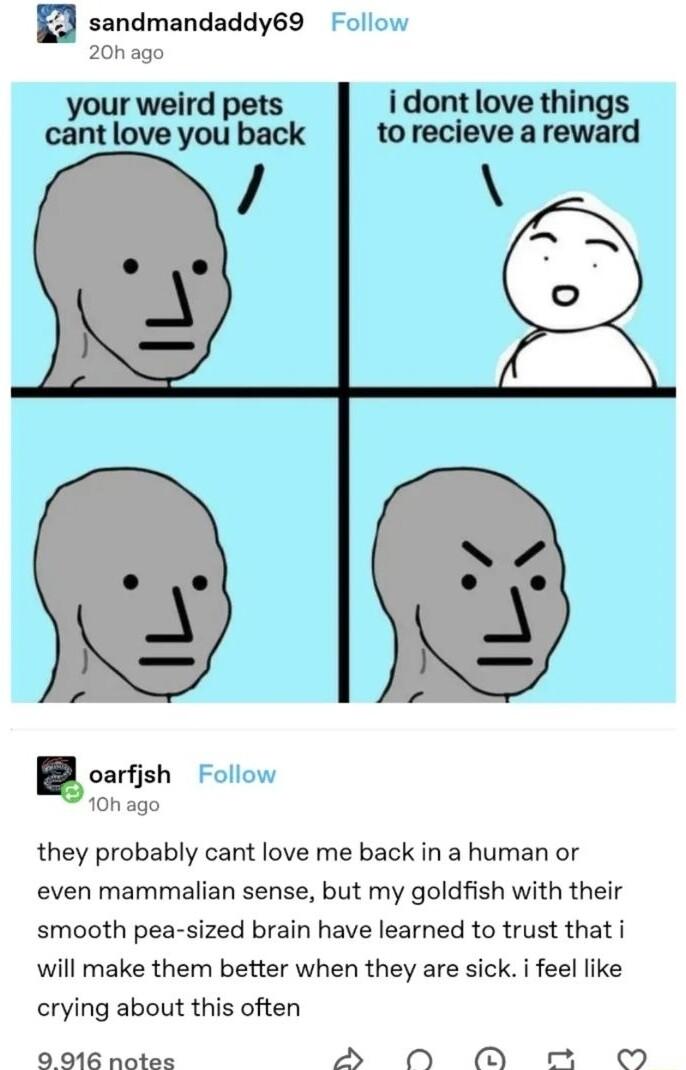 sandmandaddy69 Follow 20nago r weird idont love thil wytlovoyoupgk tomdevearewlord they probably cant love me back in a human or even mammalian sense but my goldfish with their smooth pea sized brain have learned to trust that i will make them better when they are sick i feel like crying about this often nnrsh Follow 10hago 9 916 notes DA 0O O O