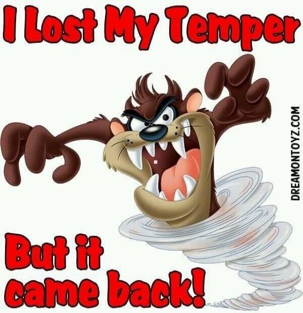 I Lost My Temper But it came back!