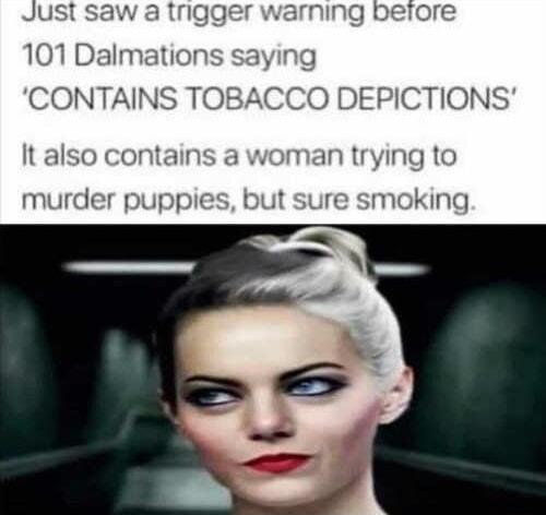 JUSTE 101 Dalma CONTAINS TOE O DEPICTIONS It also contains a woman trying to murder puppies but sure smoking