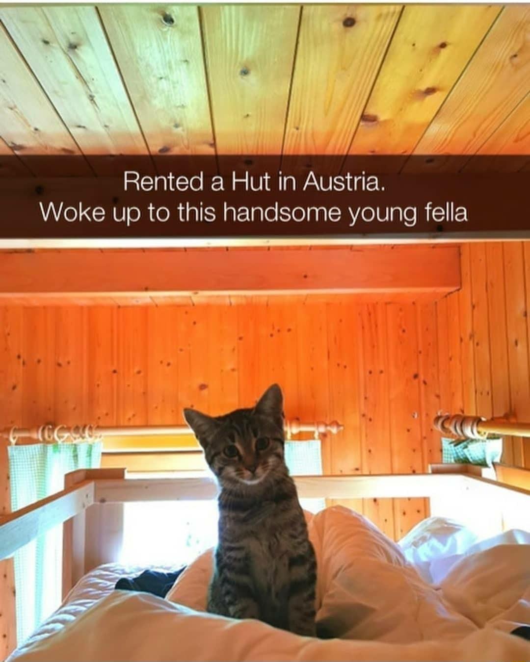 RGO RN N WAVS N Woke up to this handsome young fella