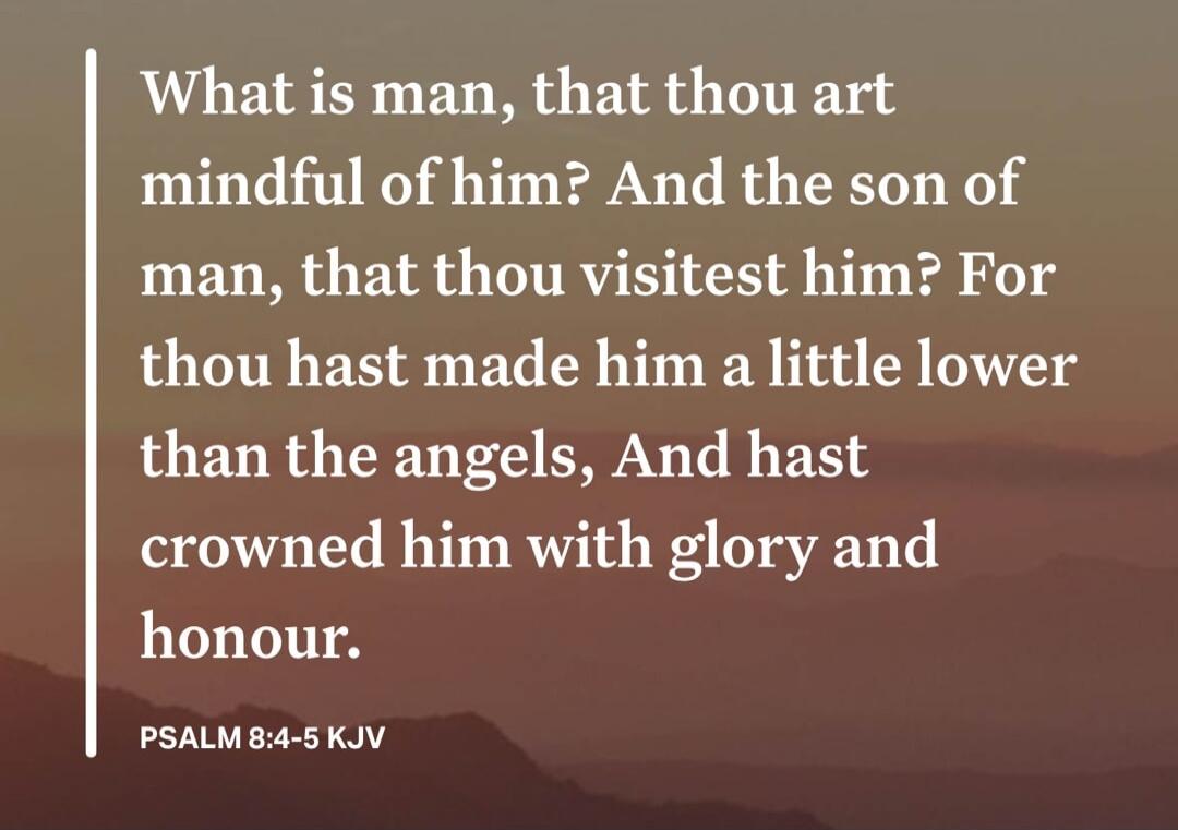 What is man, that thou art mindful of him? And the son of man, that thou visitest him? For thou hast made him a little lower than the angels, And hast crowned him with glory and honour. PSALM 8:4-5 KJV