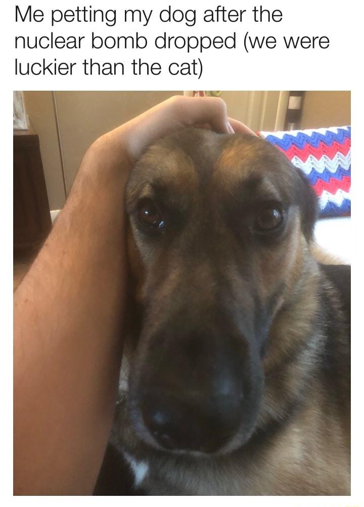 Me petting my dog after the nuclear bomb dropped we were luckier than the cat