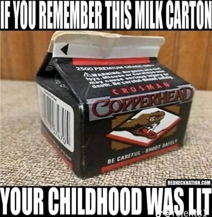 IF YOU REMEMBER THIS MILK CARTON YOUR CHILDHOOD WAS LIT COPPERHEAD