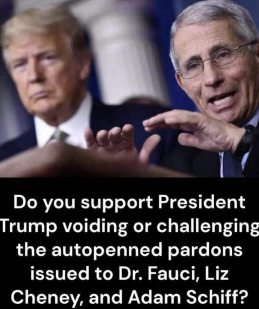 Do you support President Trump voiding or challenging the autopenned pardons issued to Dr. Fauci, Liz Cheney, and Adam Schiff?