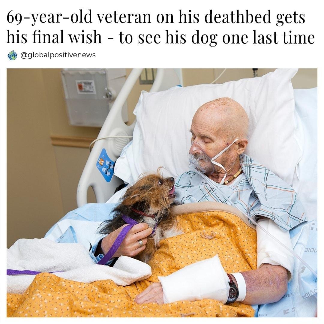 69 year old veteran on his deathbed gets his final wish to see his dog one last time b globalpositivenews