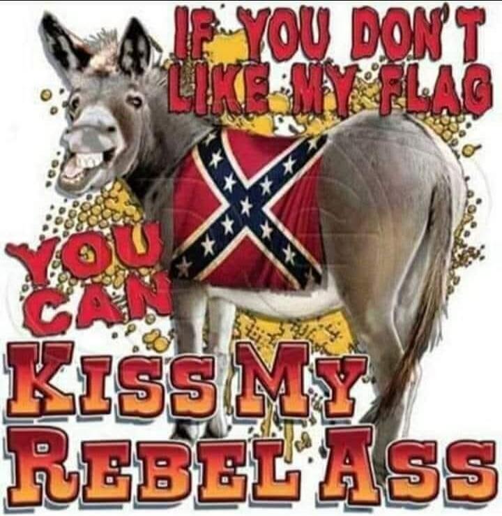 IF YOU DON'T LIKE MY FLAG YOU CAN KISS MY REBEL ASS