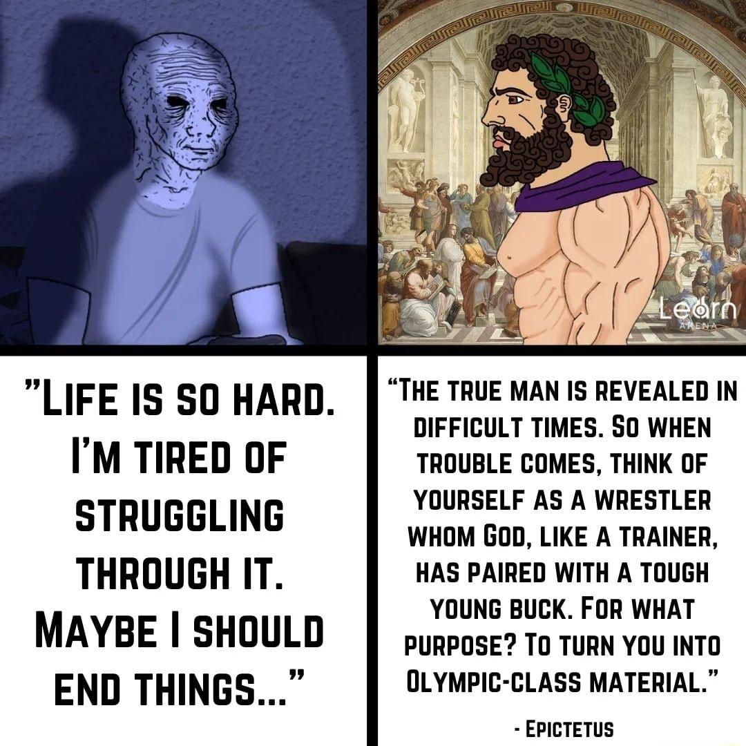 IM TIRED OF STRUGGLING THROUGH IT MAYBE SHOULD END THINGS LIFE IS SO HARD THE TRUE MAN IS REVEALED IN DIFFICULT TIMES S0 WHEN TROUBLE COMES THINK OF YOURSELF AS A WRESTLER WHOM BOD LIKE A TRAINER HAS PAIRED WITH A TOUGH YOUNG BUCK FOR WHAT PURPOSE TO TURN YOU INTO OLYMPIC CLASS MATERIAL EPICTETUS
