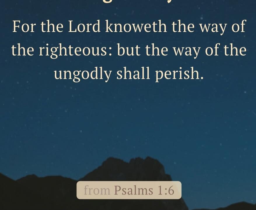 For the Lord knoweth the way of the righteous: but the way of the ungodly shall perish. from Psalms 1:6