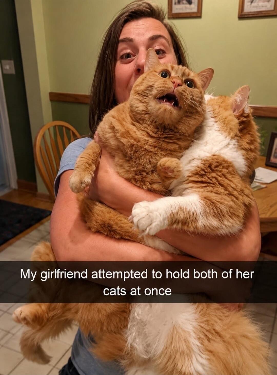 My girlfriend attempted to hold both of her cats at once
