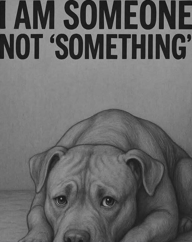 I AM SOMEONE NOT 'SOMETHING'