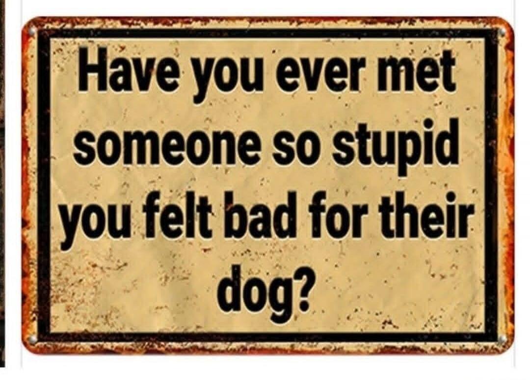 Have you ever met someone so stupid you felt bad for their dog?