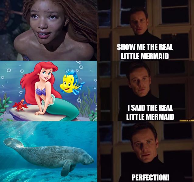 2 SHOW ME THE REAL LITTLE MERMAID 7 N P 1SAID THE REAL LITTLE MERMAID _ _ 7 3 PERFECTION