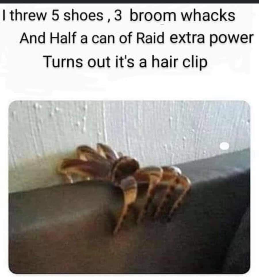 threw 5 shoes 3 broom whacks And Half a can of Raid extra power Turns out its a hair clip