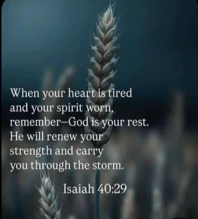 When your heart is tired and your spirit worn, remember—God is your rest. He will renew your strength and carry you through the storm. Isaiah 40:29