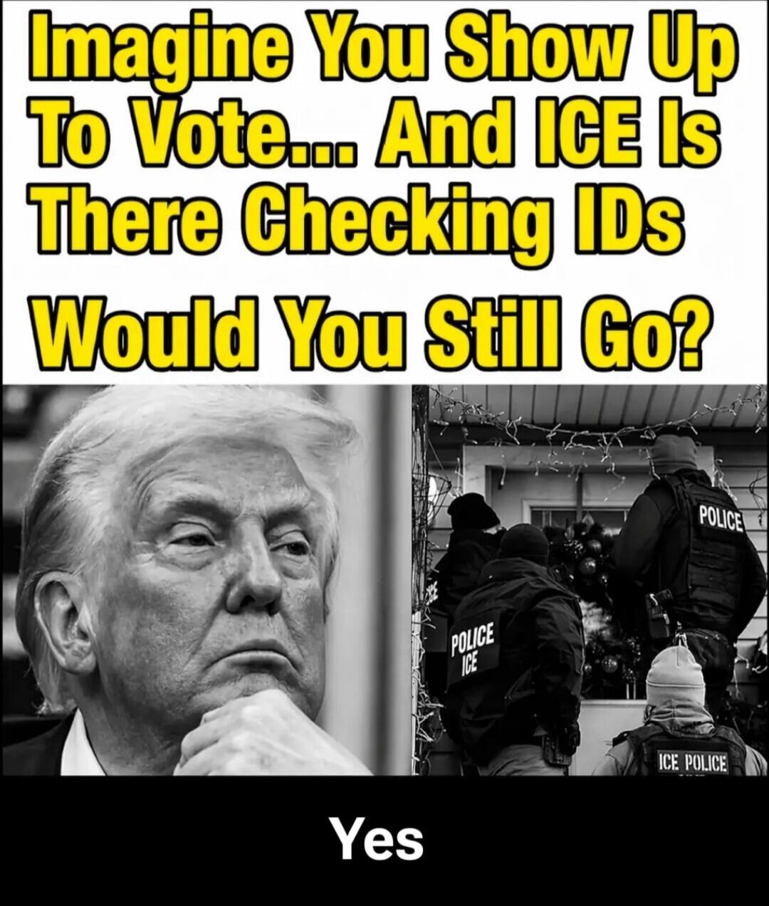Imagine You Show Up To Vote... And ICE Is There Checking IDs Would You Still Go? Yes