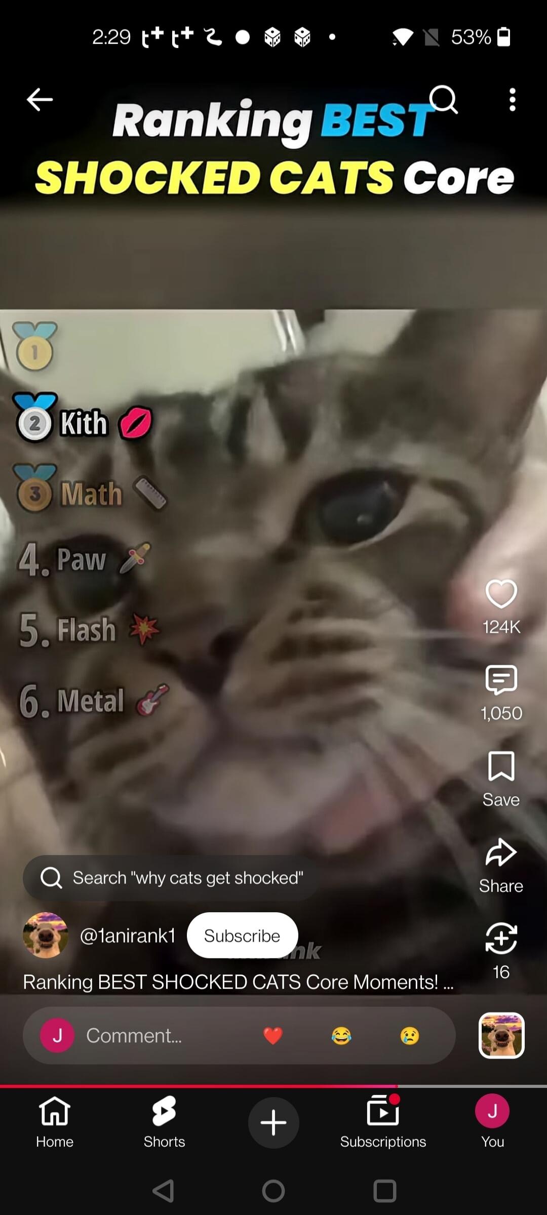 Ranking BEST SHOCKED CATS Core Moments! Kith, Math, Paw, Flash, Metal, Search why cats get shocked
