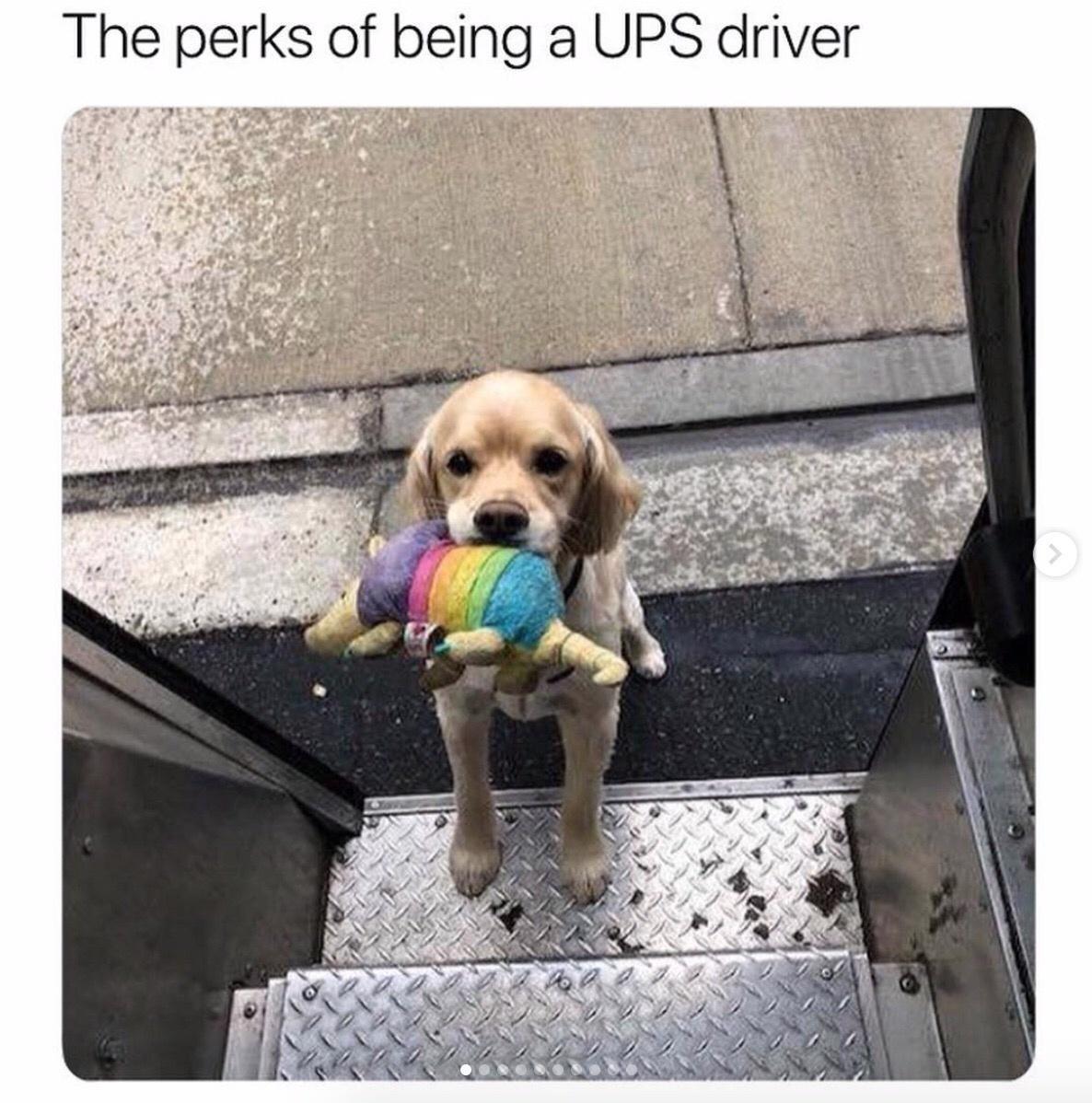 The perks of being a UPS driver