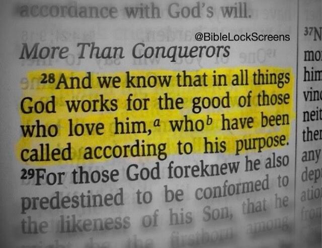 accordance with God's will. More Than Conquerors. And we know that in all things God works for the good of those who love him, who have been called according to his purpose. For those God foreknew he also predestined to be conformed to the likeness of his Son. @BibleLockScreens