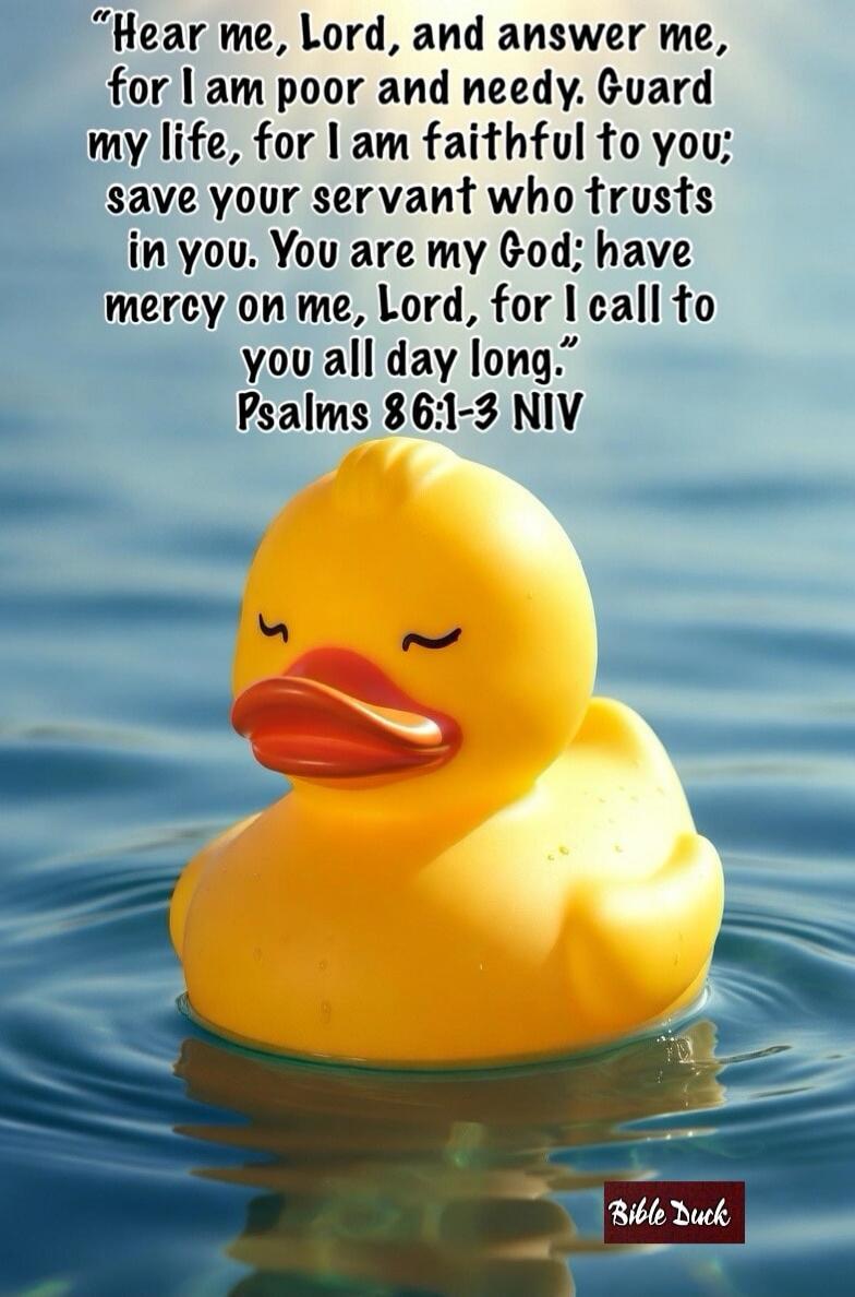 Hear me, Lord, and answer me, for I am poor and needy. Guard my life, for I am faithful to you; save your servant who trusts in you. You are my God; have mercy on me, Lord, for I call to you all day long. Psalms 86:1-3 NIV. Bible Duck