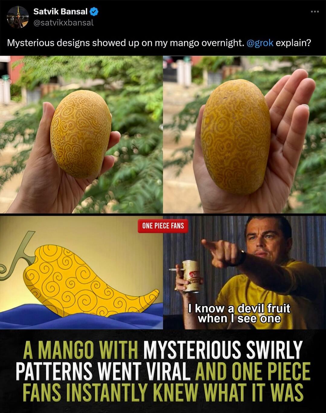 Satvik Bansal @satvikxbansal Mysterious designs showed up on my mango overnight. @grok explain? ONE PIECE FANS I know a devil fruit when I see one A MANGO WITH MYSTERIOUS SWIRLY PATTERNS WENT VIRAL AND ONE PIECE FANS INSTANTLY KNEW WHAT IT WAS