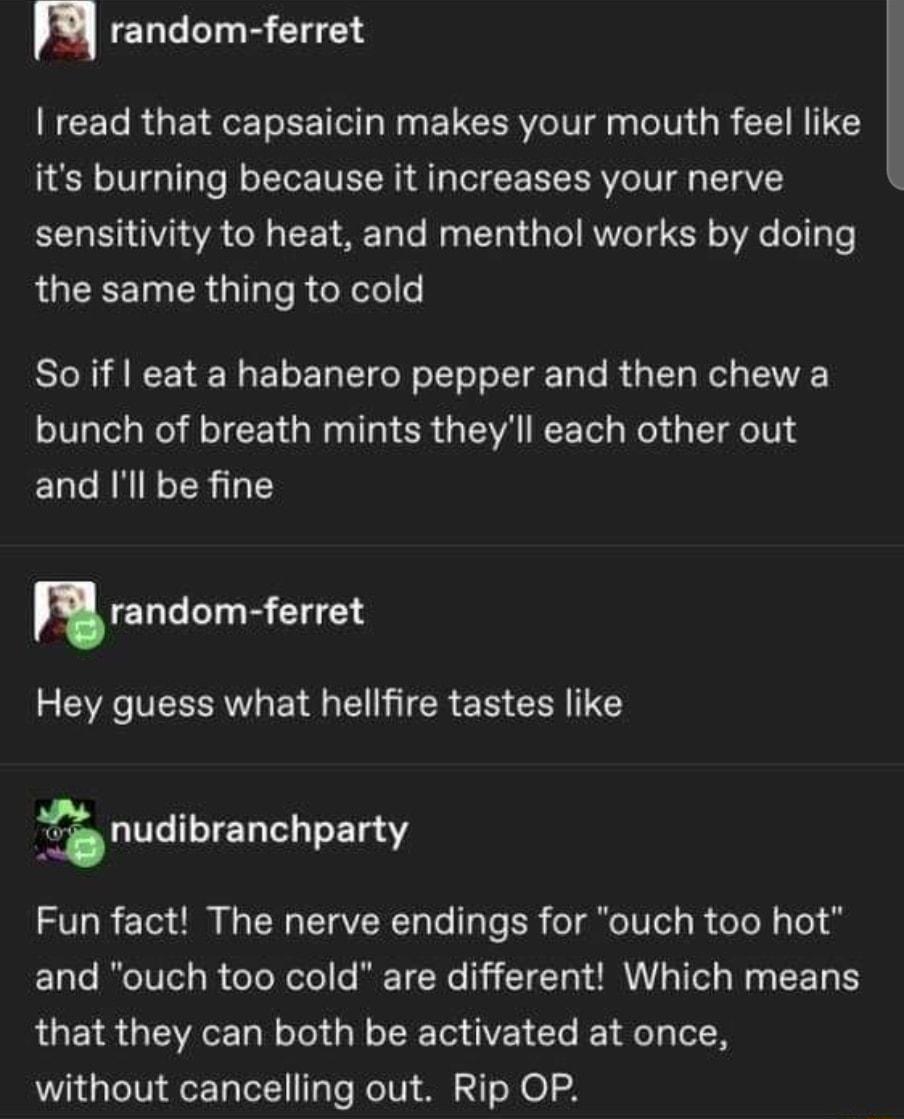 random ferret REETCRGEIRE R Ny ELCERVRIN gy IV G R TS its burning because it increases your nerve sensitivity to heat and menthol works by doing the same thing to cold So if eat a habanero pepper and then chew a bunch of breath mints theyll each other out and Ill be fine random ferret Hey guess what hellfire tastes like A_ LU ILTET T T T SV R 1ot O NG TN TTa VR To T Te ER o T TV el s R el s 0 o an