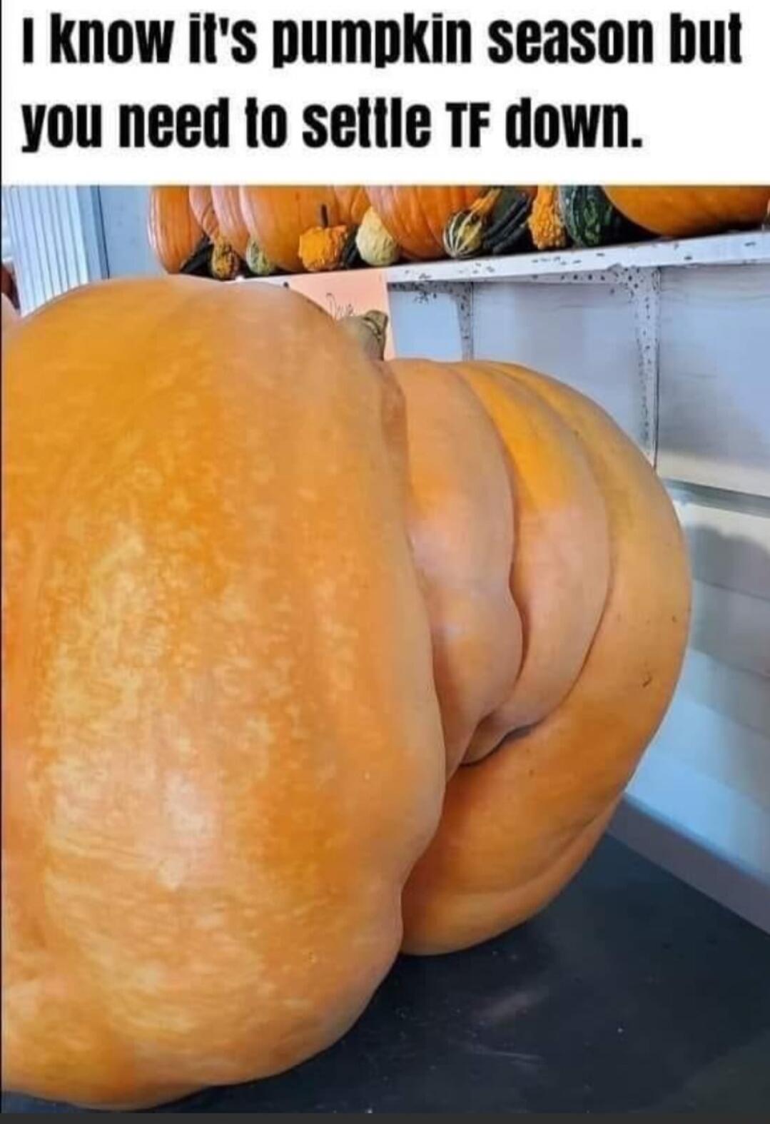 I know it's pumpkin season but you need to settle TF down.