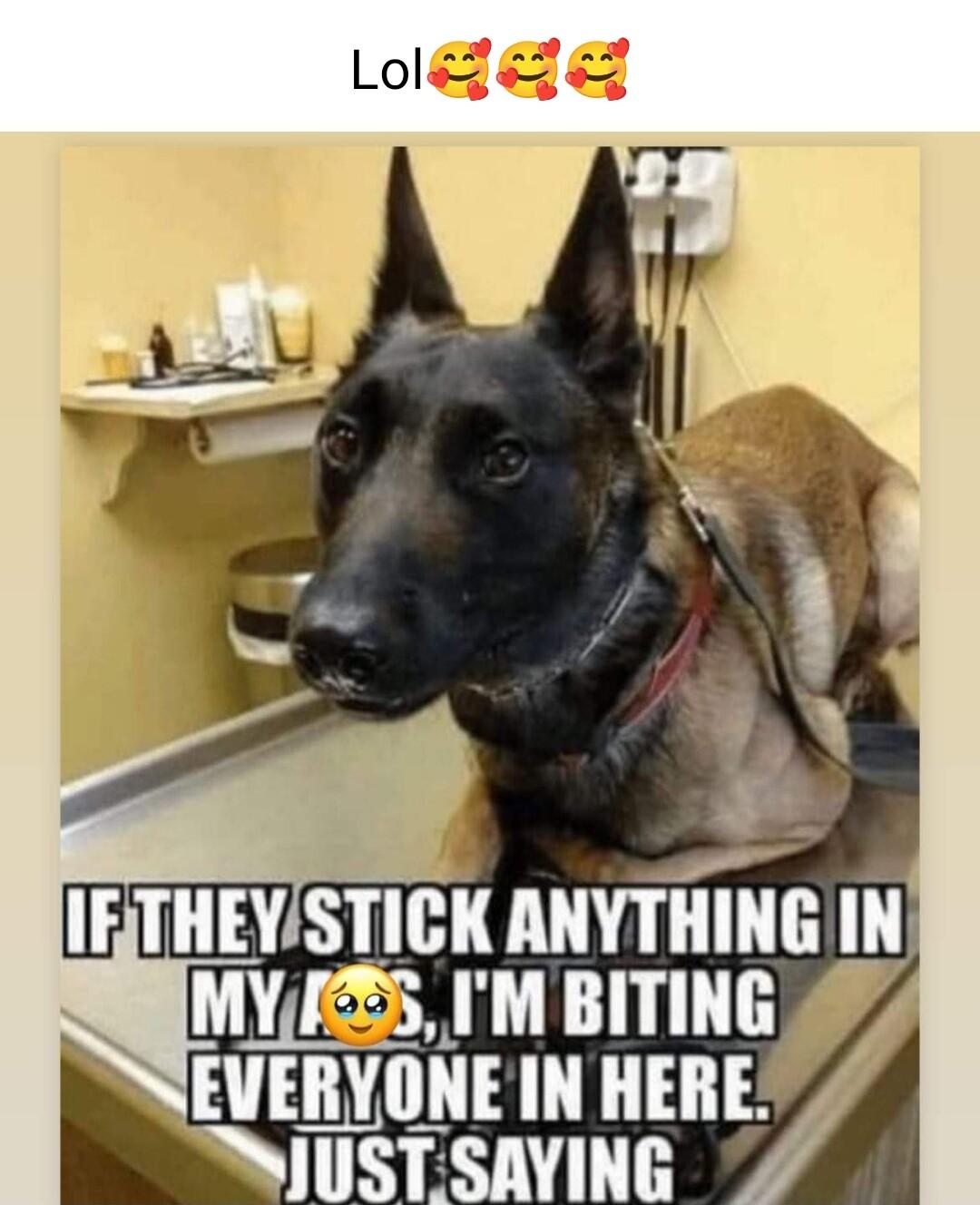 IETHEYSTICK ANVTHING IN MY25 IM BITING e AT JUSTSAVING