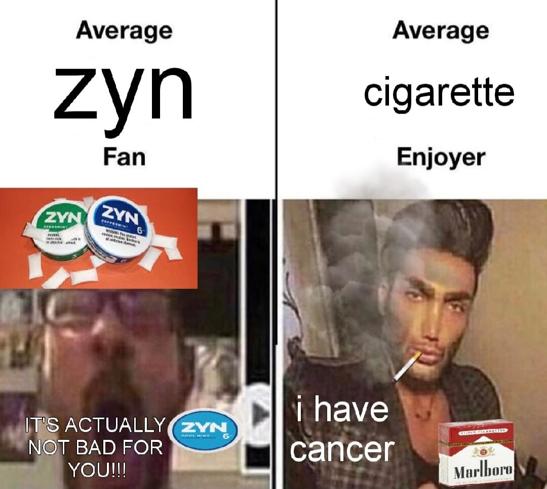 Average Average Zyn cigarette Fan Enjoyer NGT BAD FOR pa Youn