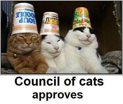 B o Council of cats approves