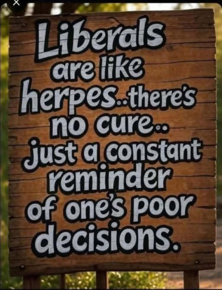 Liberals are like herpes... there's no cure... just a constant reminder of one's poor decisions.