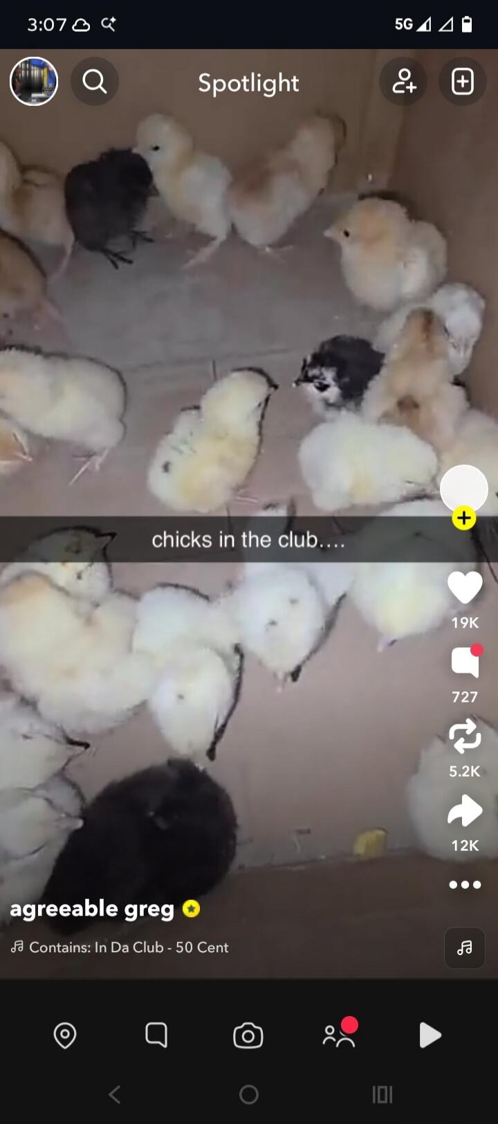 chicks in the club....