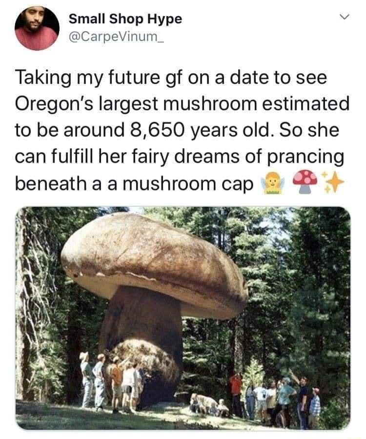 a Small Shop Hype b G Vi ks of CarpeVinum_ Taking my future gf on a date to see Oregons largest mushroom estimated to be around 8650 years old So she can fulfill her fairy dreams of prancing beneath a a mushroom cap ot