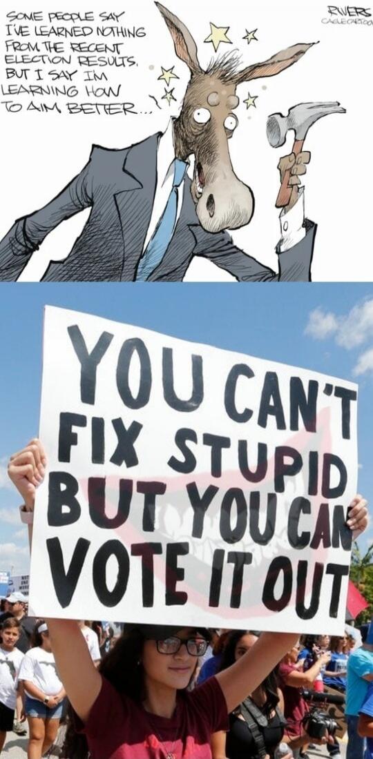 SOME PEOPLE SAY I'VE LEARNED NOTHING FROM THE RECENT ELECTION RESULTS, BUT I SAY I'M LEARNING HOW TO AIM BETTER... YOU CAN'T FIX STUPID BUT YOU CAN VOTE IT OUT