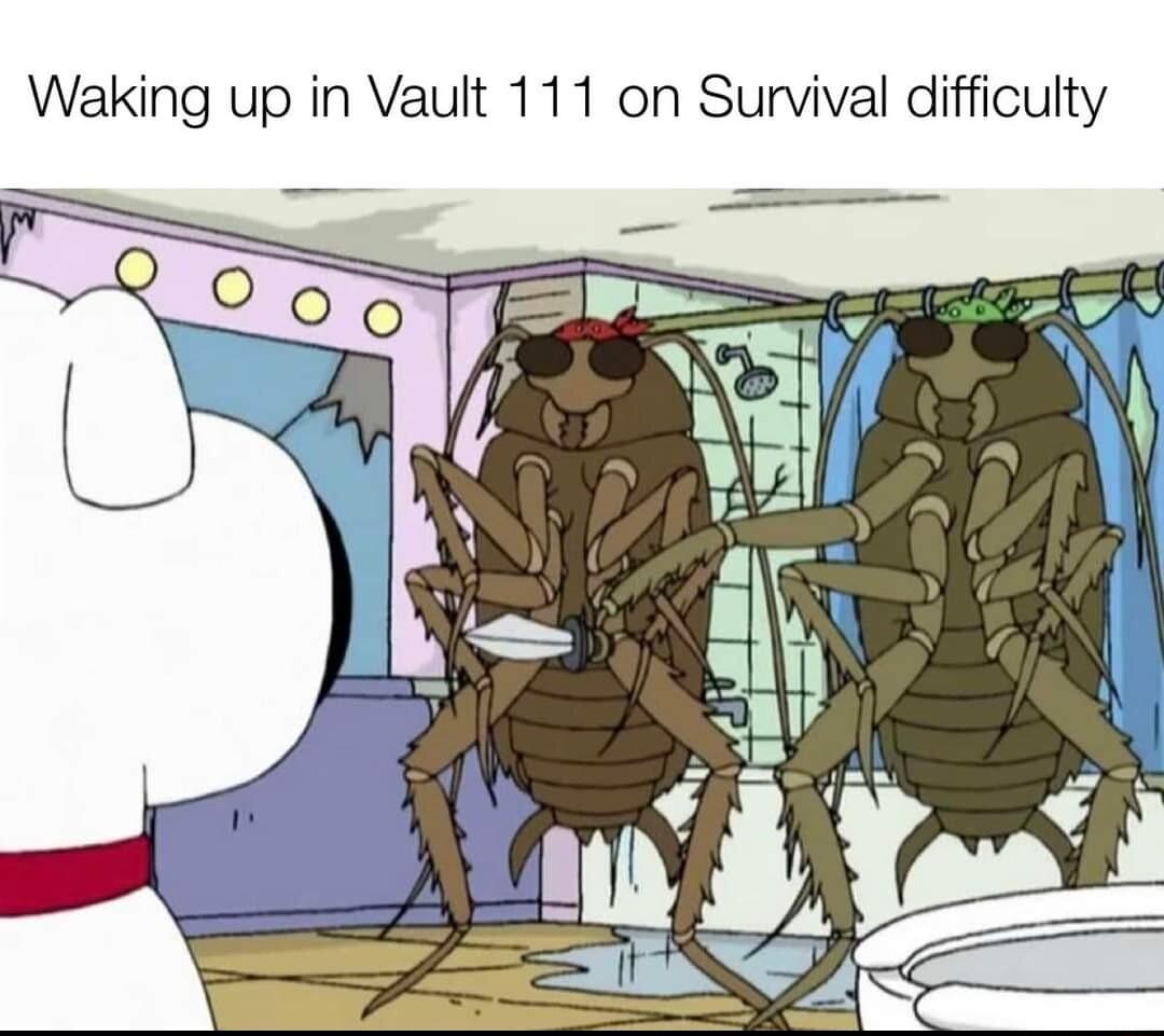 Waking up in Vault 111 on Survival difficulty